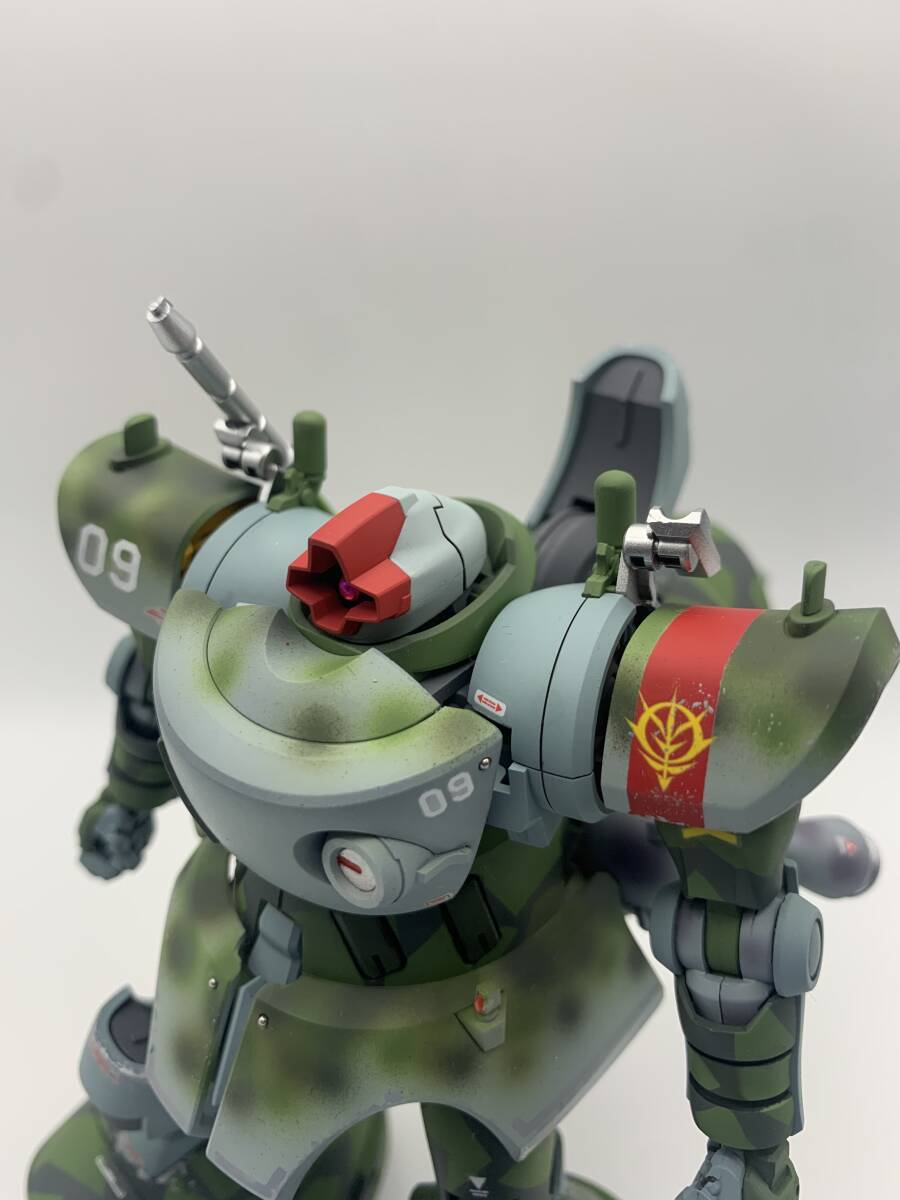 HG リックドム(GQ) 独空軍迷彩カラー 改造改修 全塗装 ガンプラ完成品