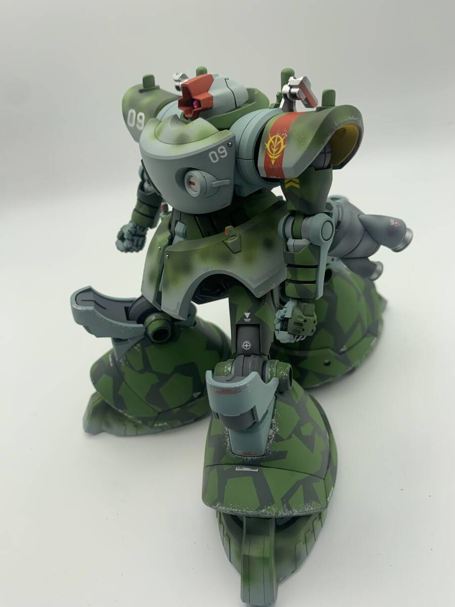 HG リックドム(GQ) 独空軍迷彩カラー 改造改修 全塗装 ガンプラ完成品