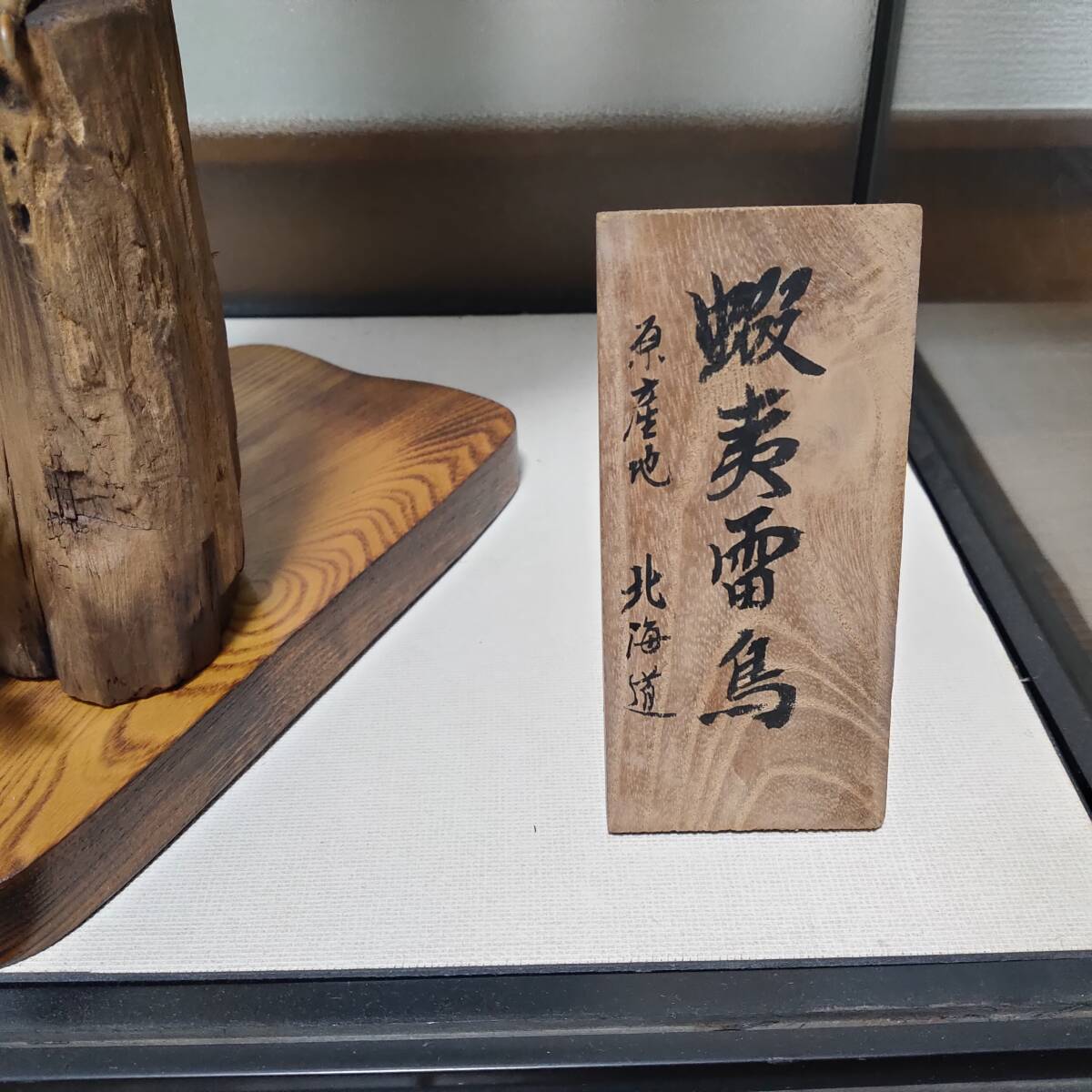 希少 】蝦夷雷鳥 ライチョウ 剥製 剥製標本 インテリア 鳥 置物