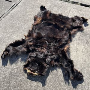 熊 敷物の値段と価格推移は？｜8件の売買データから熊 敷物の価値が