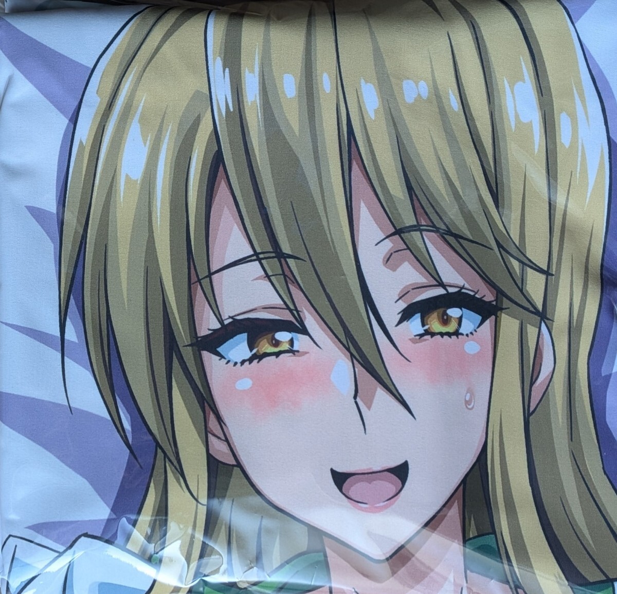 INSERT 学園黙示録 HIGHSCHOOL OF THE DEAD 鞠川静香抱き枕カバー色 