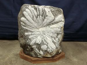 菊花石の値段と価格推移は？｜216件の売買データから菊花石の価値が