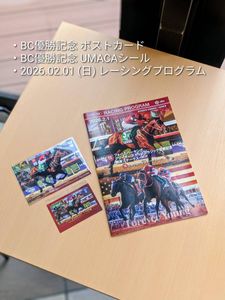 レーシングプログラムの値段と価格推移は？｜73件の売買データから