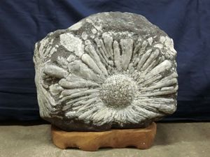 鑑賞石のYahoo!オークション(旧ヤフオク!)の相場・価格を見る｜Yahoo