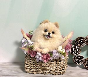 羊毛フェルト ポメラニアンのYahoo!オークション(旧ヤフオク!)の相場