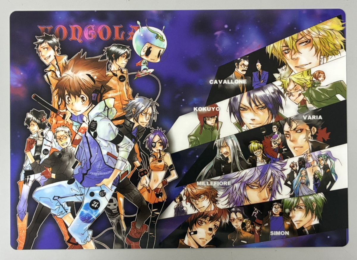 希少品】『家庭教師ヒットマンREBORN!』 下敷き 沢田綱吉 リボーン