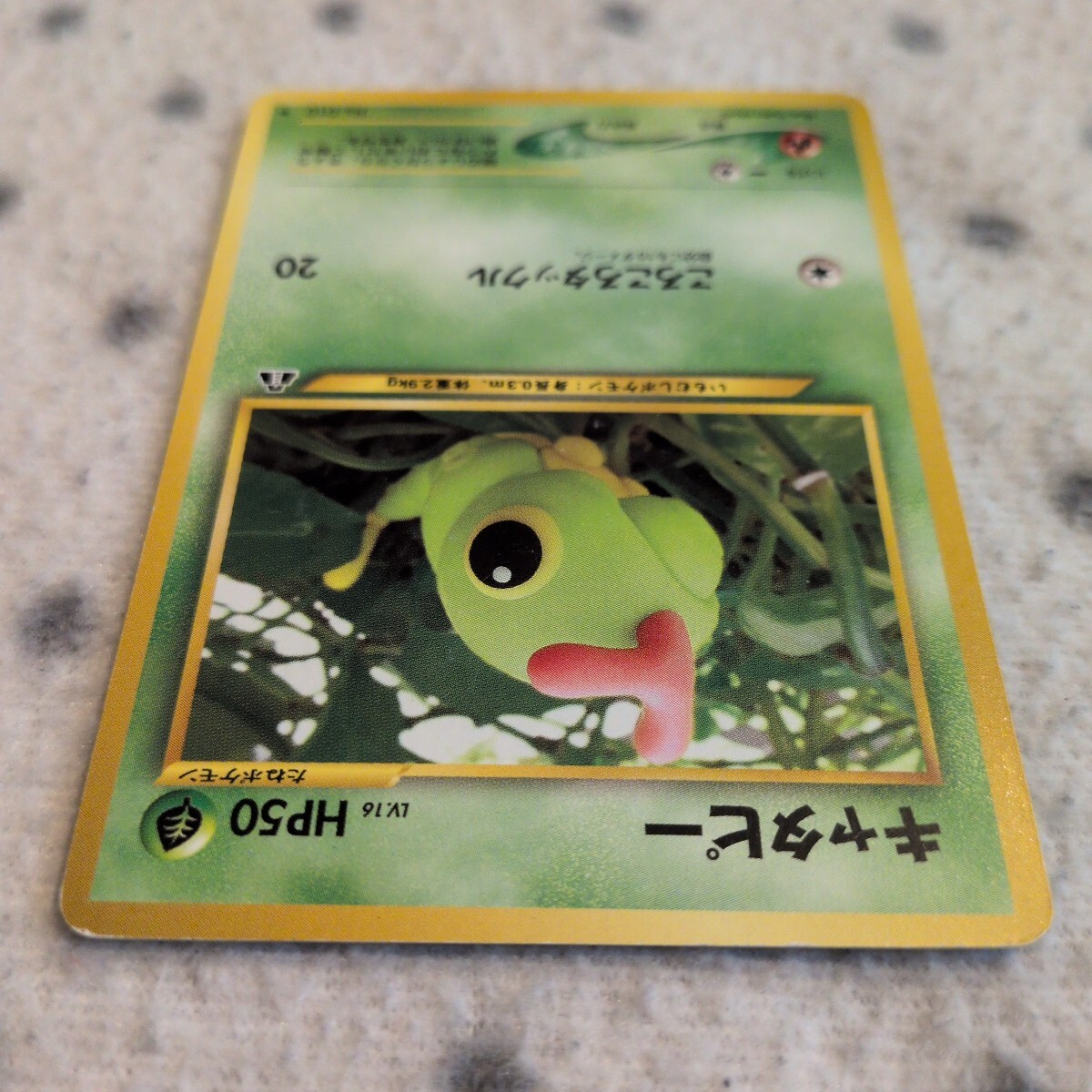 ポケモンカード 旧裏面 ☆ キャタピー カブト ☆ 森井ユカ Yuka Morii
