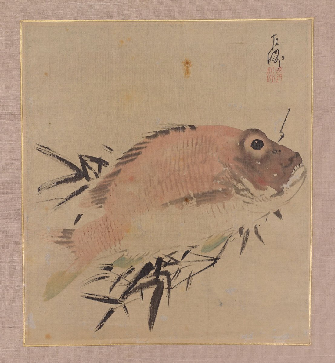 蔵壷◇『中村左洲 鯛図』 【模写】 1幅 古筆 古文書 古書 水墨画 日本