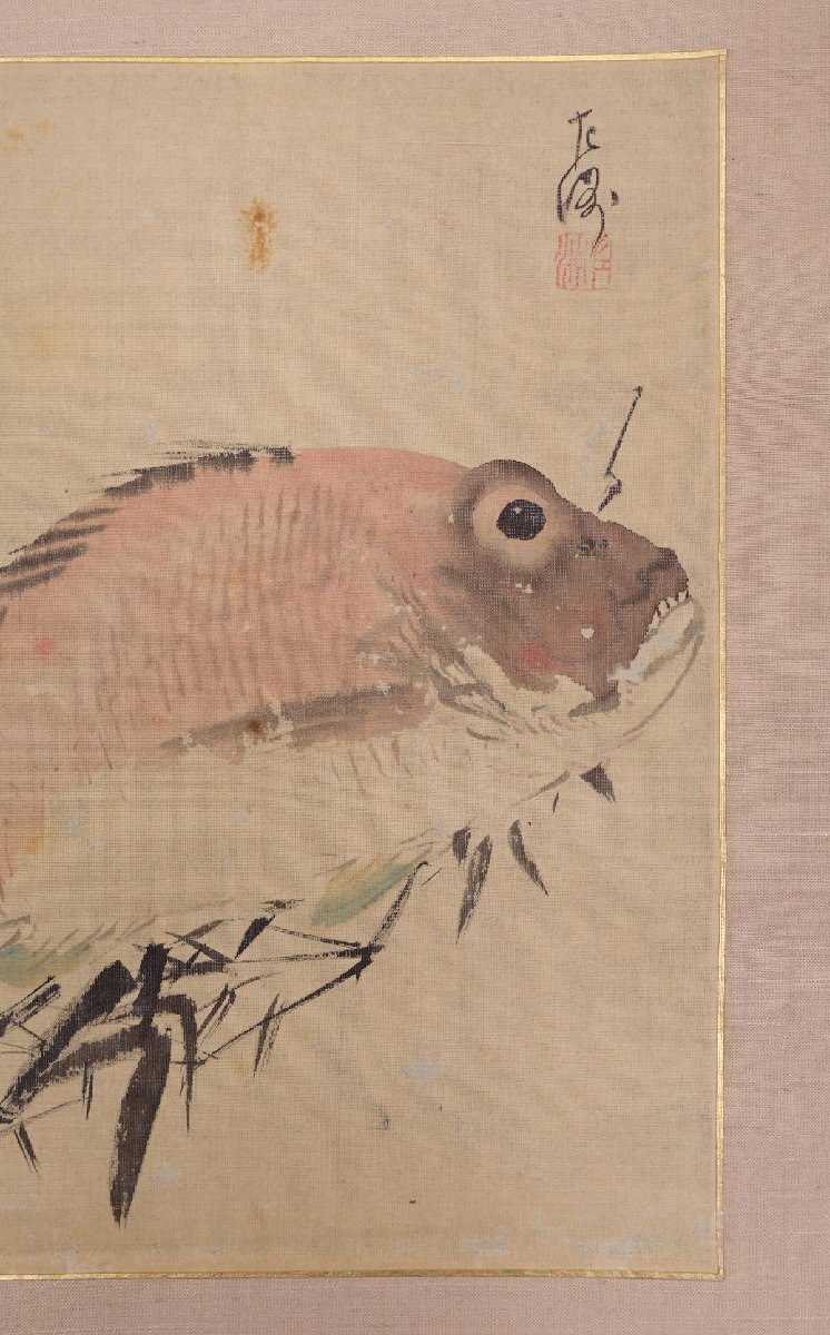 蔵壷◇『中村左洲 鯛図』 【模写】 1幅 古筆 古文書 古書 水墨画 日本