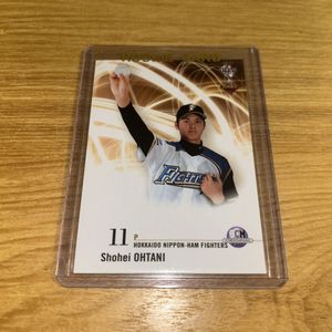 カード 大谷翔平 ルーキー 2013の値段と価格推移は？｜163件の売買