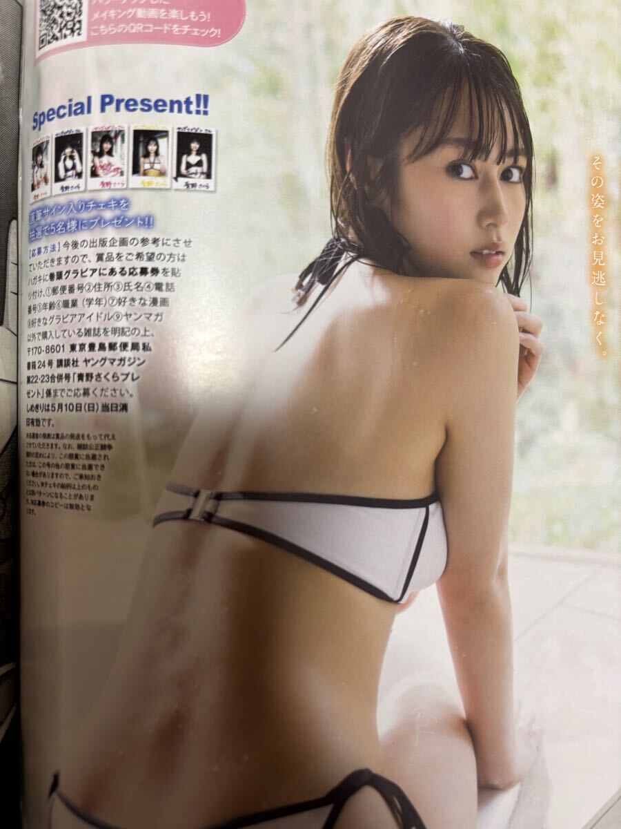 週刊ヤングマガジン 加藤玲奈 青野さくら サイン入りチェキ応募券 22