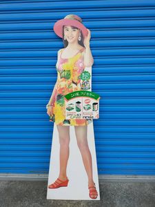 フジカラー　1998年　ポストカード　観月ありさ等身大カットアウト　（新品） フジカラー 観月ありさの値段と価格推移は？｜3件の売買データから