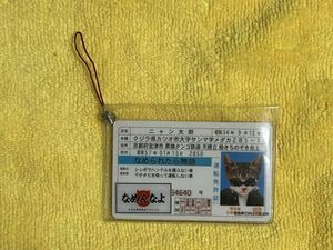 なめ猫 カードの値段と価格推移は？｜34件の売買データからなめ猫