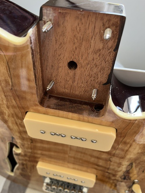 Michael Kelly Guitars マイケルケリーギターズ Ele Gtr 59 F holes