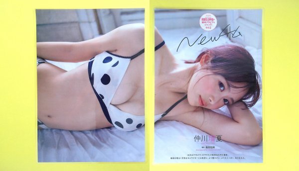 GA389 仲川瑠夏 [ラミネート加工] FRUITS ZIPPER 週刊プレイボーイ