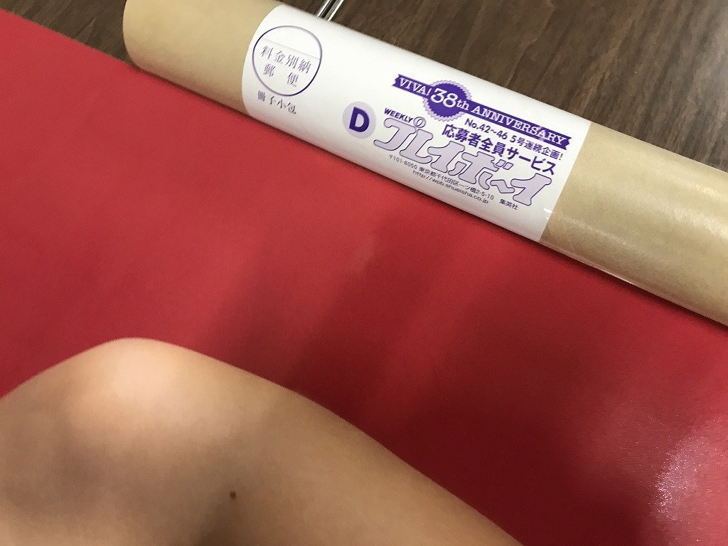 ☆キ10新品】当時物 相武紗季 等身大 全身 ビキニ 水着 プレイボーイ