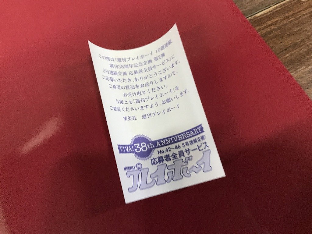 ☆キ10新品】当時物 相武紗季 等身大 全身 ビキニ 水着 プレイボーイ
