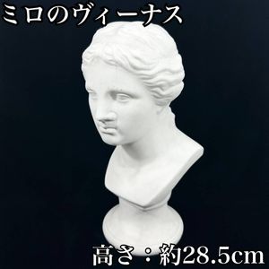 石膏像 ヴィーナスの値段と価格推移は？｜22件の売買データから石膏像