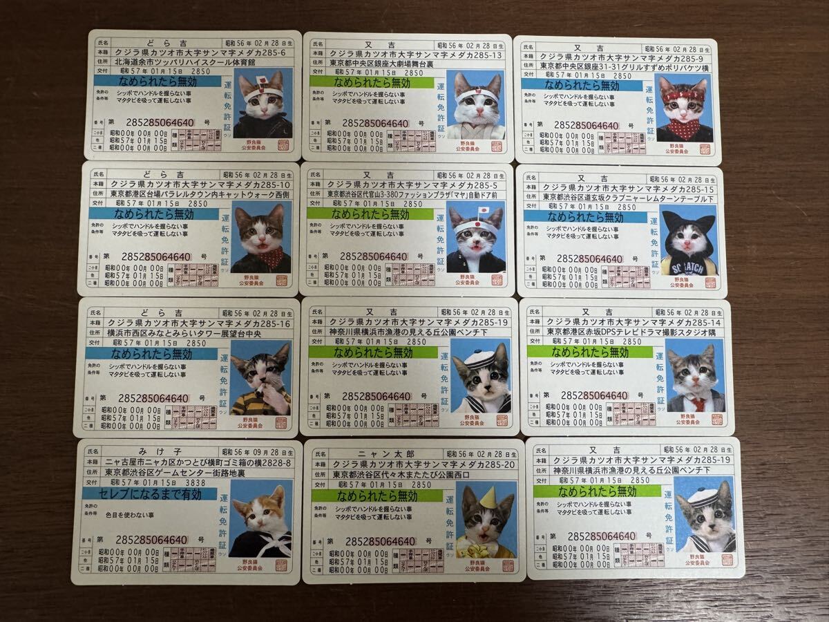 なめ猫 カードの値段と価格推移は？｜34件の売買データからなめ猫