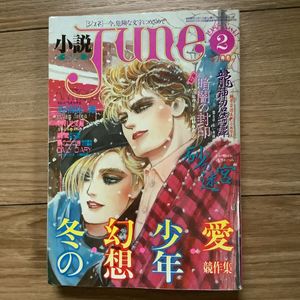 小説JUNEの値段と価格推移は？｜4件の売買データから小説JUNEの価値が