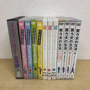 ごっつええ感じ DVDの値段と価格推移は？｜23件の売買データから