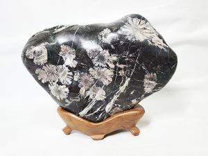 菊花石のYahoo!オークション(旧ヤフオク!)の相場・価格を見る｜Yahoo