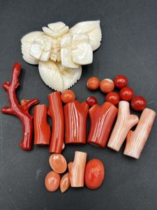 ピンク珊瑚 原木の値段と価格推移は？｜6件の売買データからピンク珊瑚