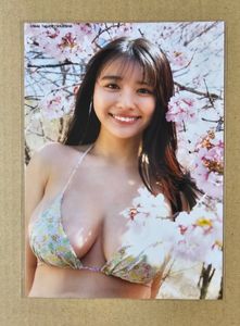 豊島心桜のYahoo!オークション(旧ヤフオク!)の相場・価格を見る｜Yahoo