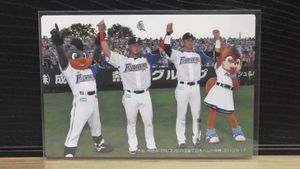 プロ野球チップスカードの値段と価格推移は？｜368件の売買データから