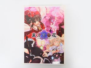 東方 VISION カード 624枚 PR16枚 SP16枚 大量まとめ 東方 VISIONの値段と価格推移は？｜3件の売買データから東方 VISIONの