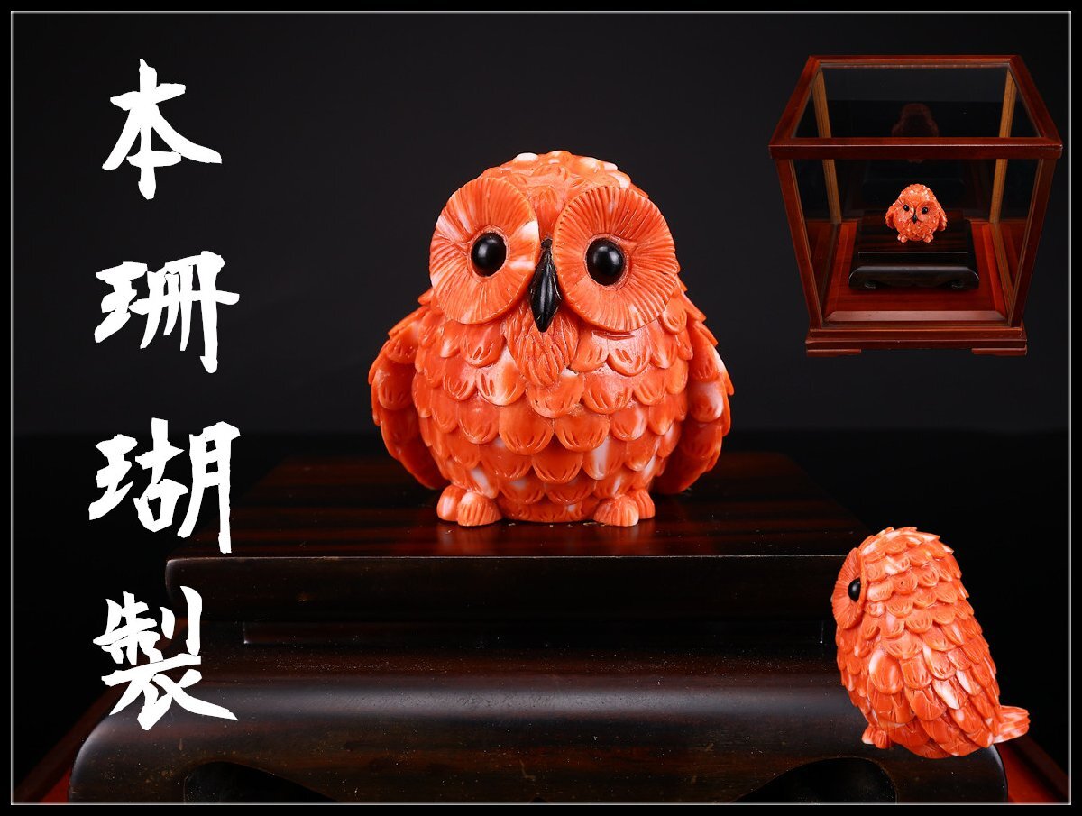 珊瑚 ガラスケースの値段と価格推移は？｜11件の売買データから珊瑚