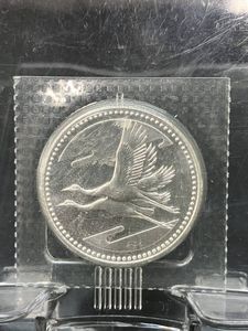皇太子殿下御成婚 純銀の中古価格は6,543円｜記念硬貨の新品・中古の
