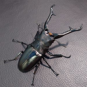 ギラファノコギリクワガタ ペアの値段と価格推移は？｜181件の売買