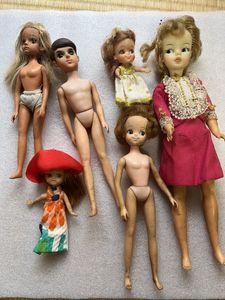 タミーちゃんの値段と価格推移は？｜74件の売買データからタミーちゃん