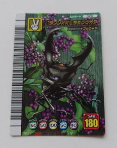 パラワンオオヒラタ ムシキングの値段と価格推移は？｜5件の売買データ