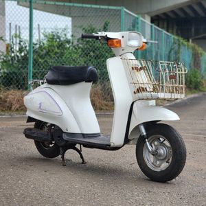 suzuki 蘭の値段と価格推移は？｜30件の売買データからsuzuki 蘭の価値