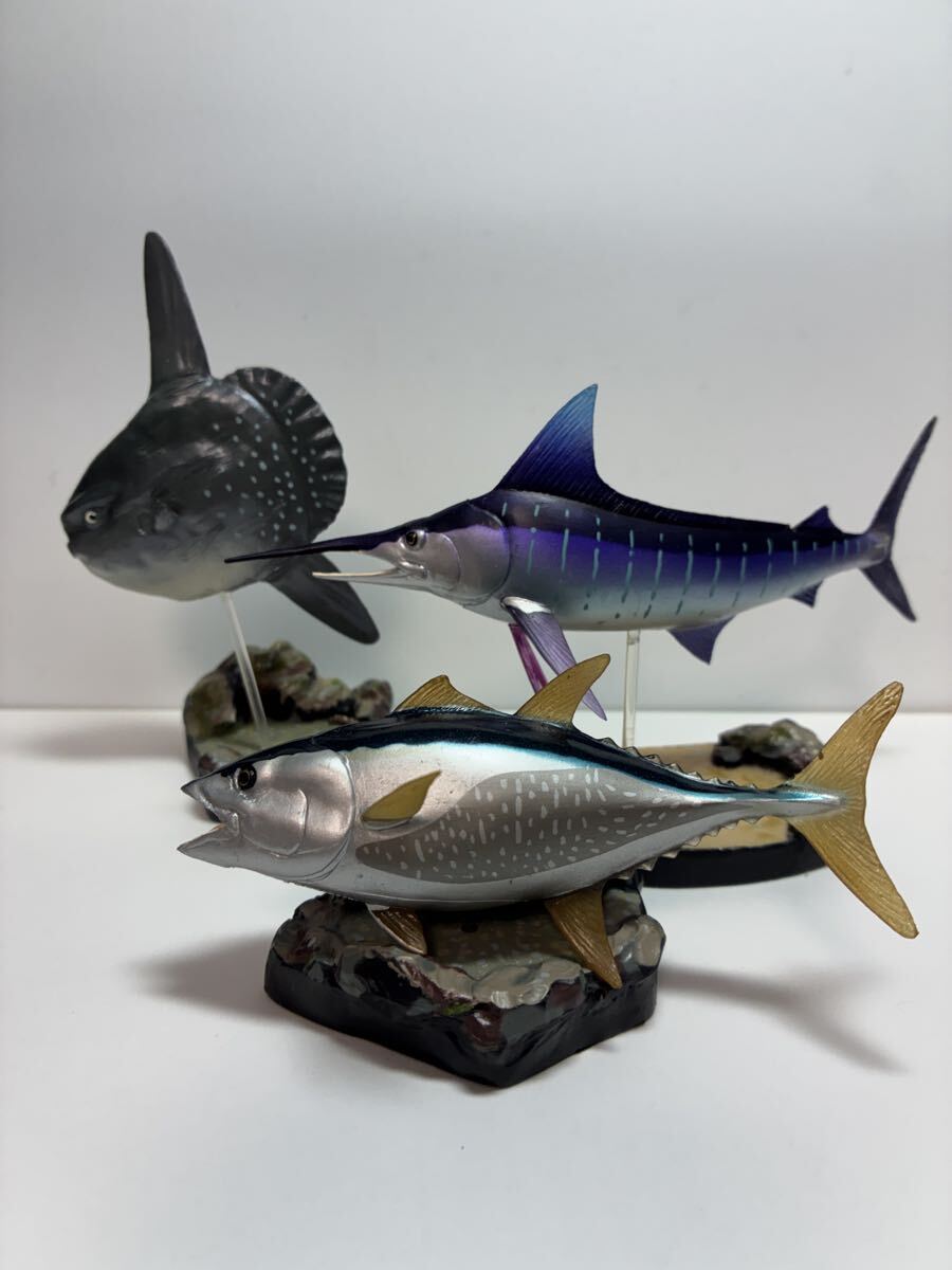 魚フィギュアばら売り 魚フィギュアの値段と価格推移は？｜5件の売買データから魚フィギュア