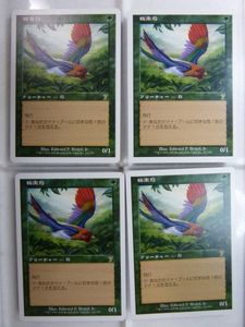 極楽鳥 MTGの値段と価格推移は？｜8件の売買データから極楽鳥 MTGの
