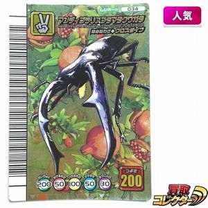 ムシキングマンディブラリスフタマタクワガタの値段と価格推移は？｜5