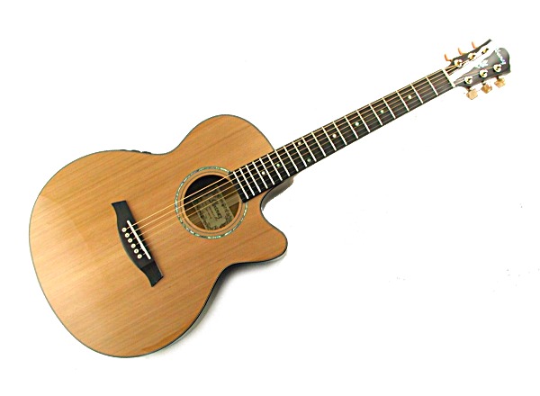 展示処分/送込/アイバニーズIbanez AEG45SE/エレアコ/裏&側Mango(本体