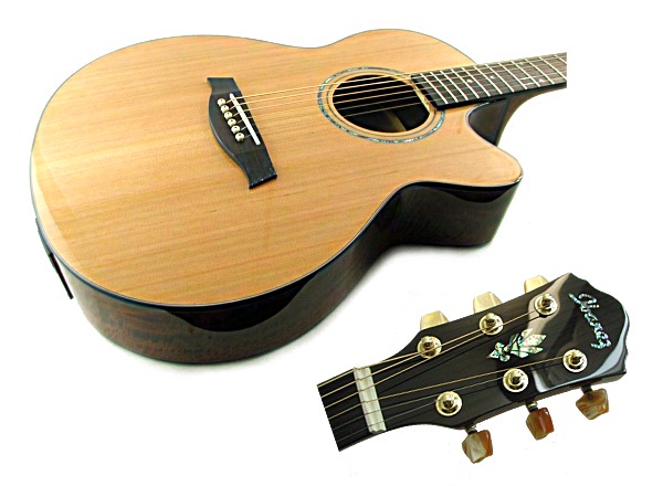 展示処分/送込/アイバニーズIbanez AEG45SE/エレアコ/裏&側Mango(本体