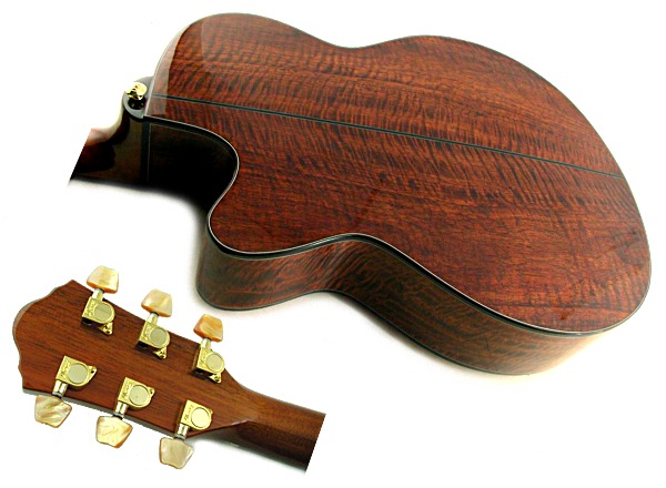 展示処分/送込/アイバニーズIbanez AEG45SE/エレアコ/裏&側Mango(本体