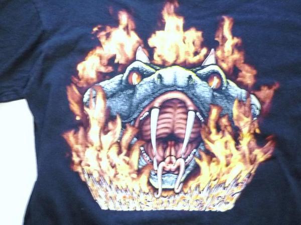 ★即決★【PANTERA】Tシャツ○♪_3