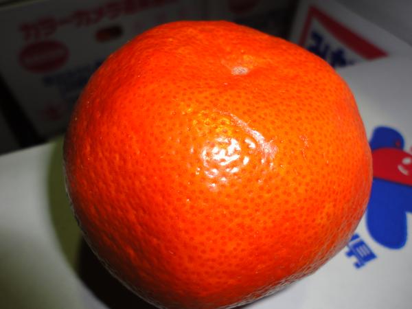 即決あり★小原紅みかん★5K★香川産_2