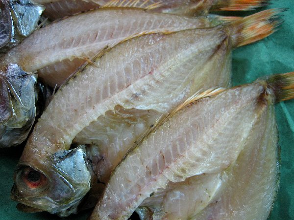 はんなま製品、超高級魚「のどぐろ開き1kg」　ASK福袋訳業務用