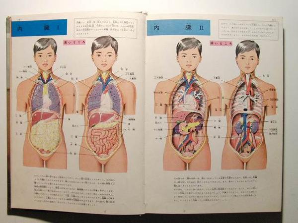 保健と人体の図鑑◇小学館の学習図鑑シリーズ8(図鑑)｜売買された
