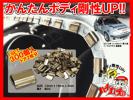 【送料無料】簡単ボディ補強! 『カチカチ君』1set 300個入 rena