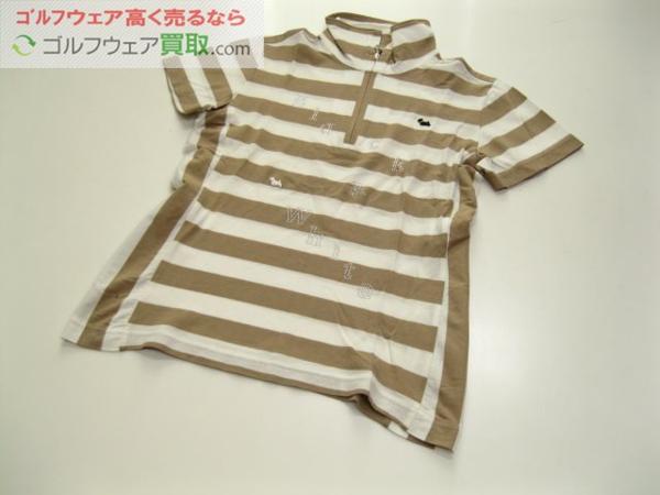 t546028568.3