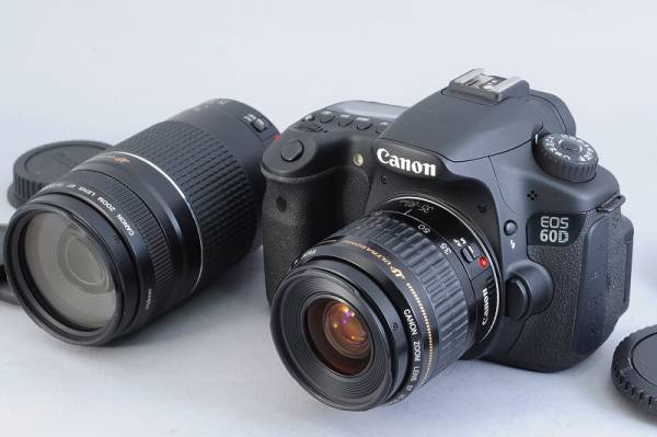 〓大人気美品〓 Canon キヤノン EOS 60D 純正Wレンズセット #338