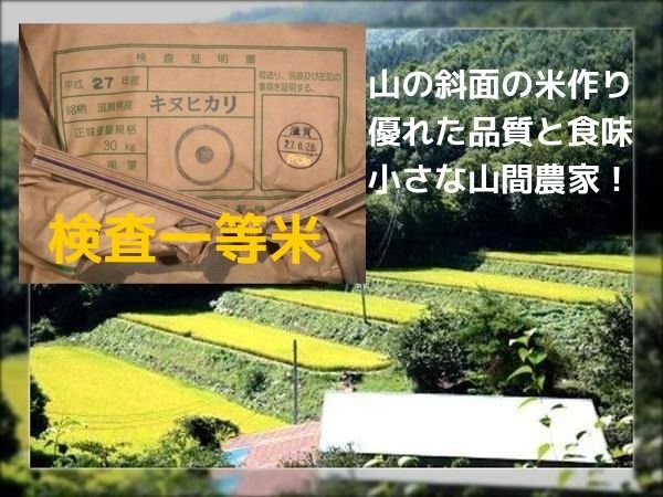◎優れた品質、食味。農家直送米30kg。小分けと無洗米有＋送料込